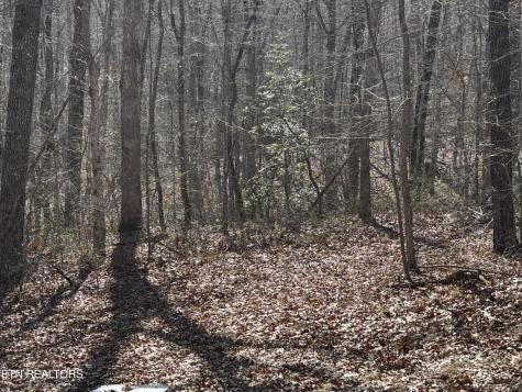 38 Crystal Point Monterey TN 38574