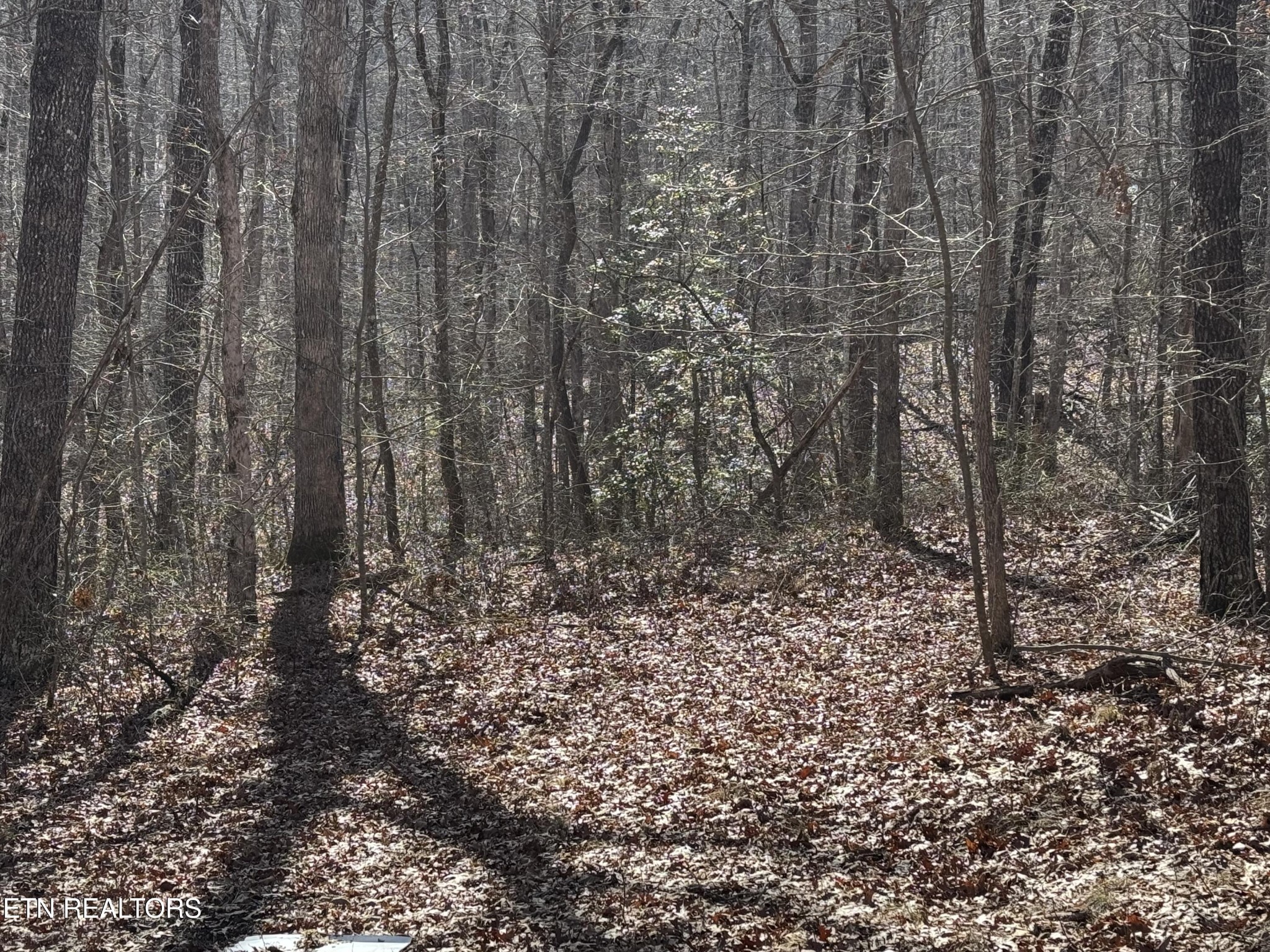 38 Crystal Point Monterey TN 38574