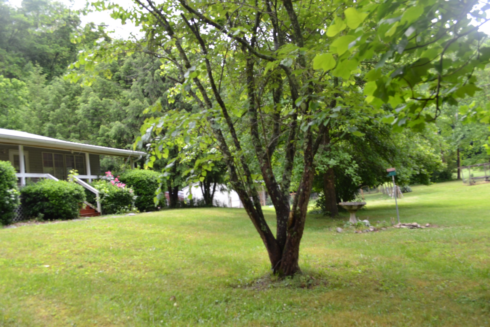 1557 Add Stafford Road Hilham TN 38568