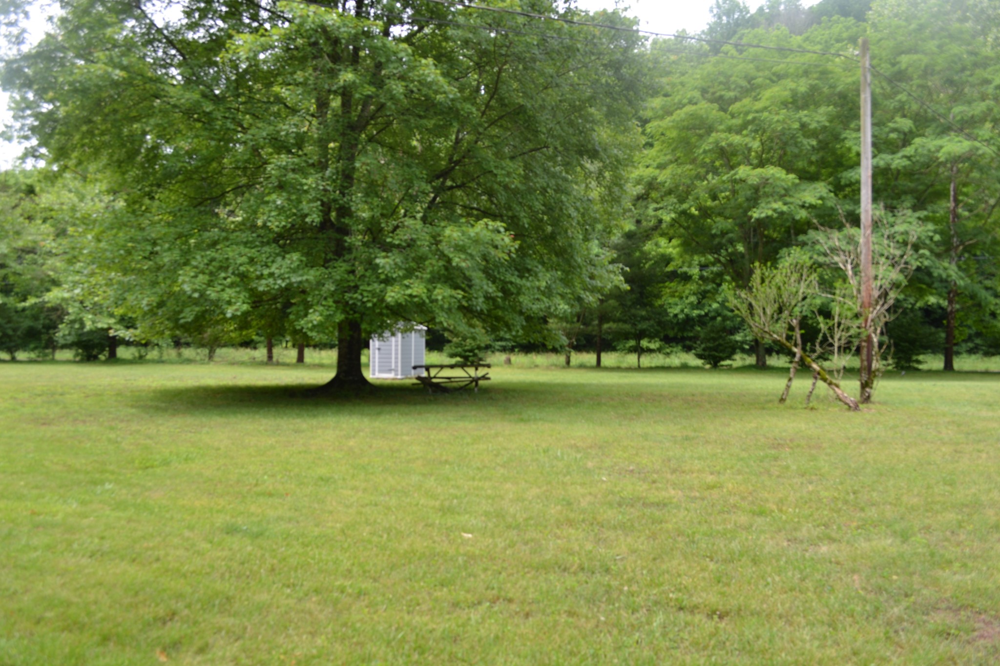 1557 Add Stafford Road Hilham TN 38568