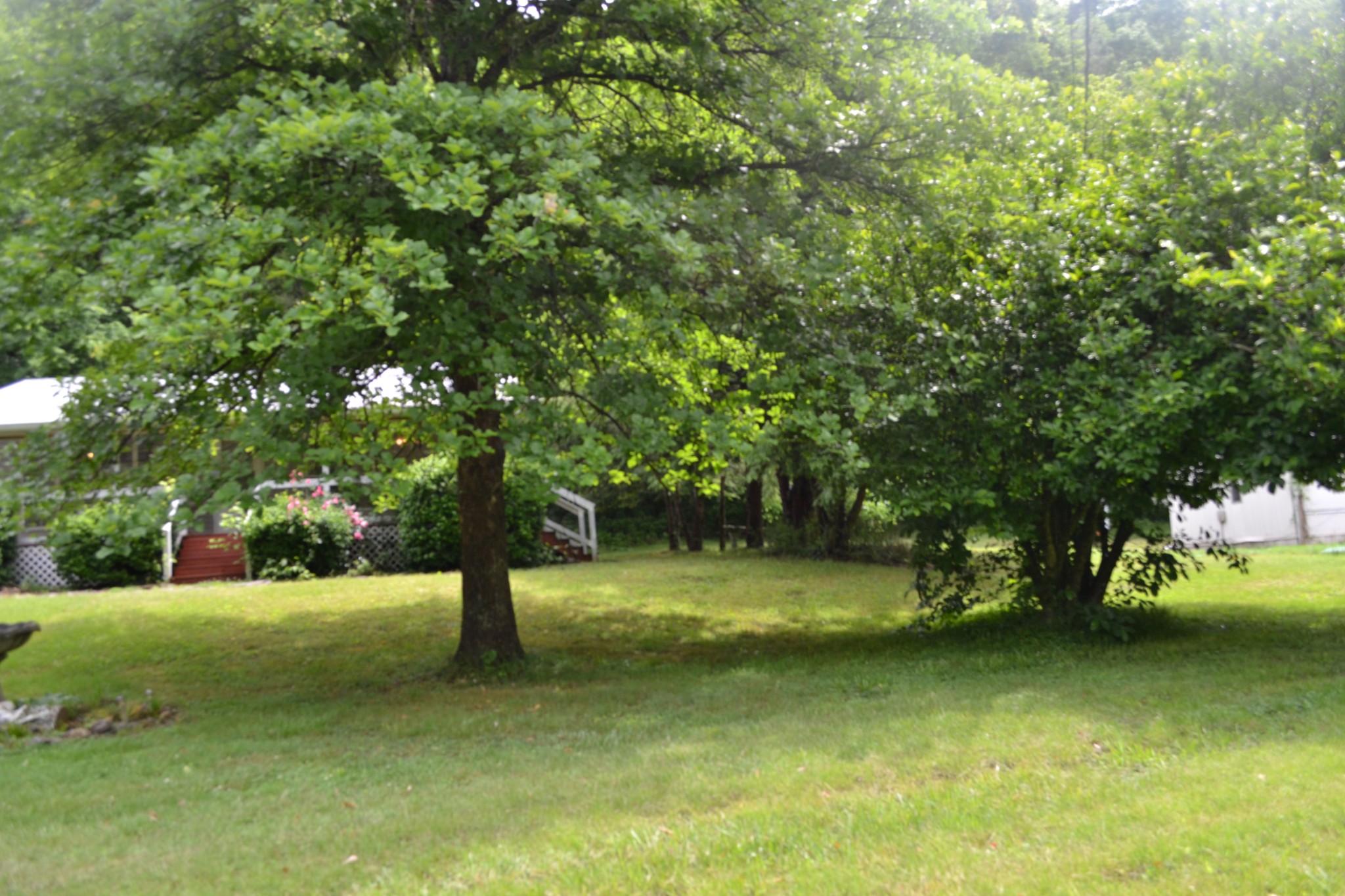 1557 Add Stafford Road Hilham TN 38568
