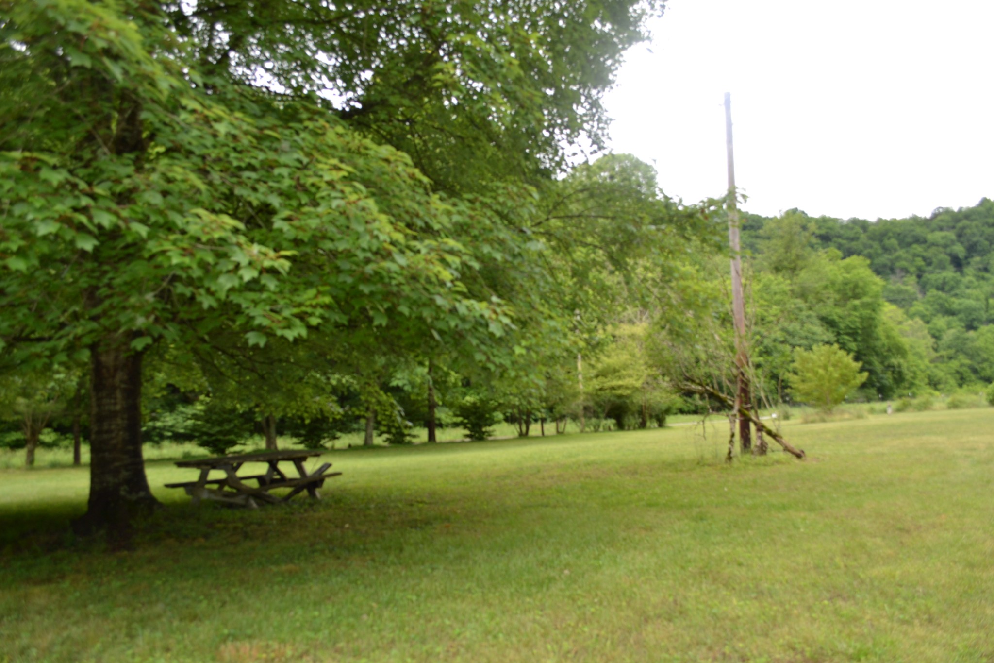 1557 Add Stafford Road Hilham TN 38568