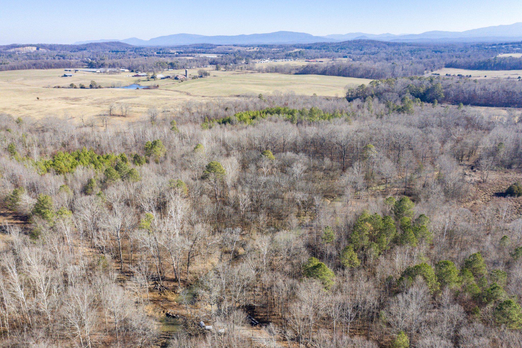 3919 SE Trewhitt Road Cleveland TN 37323