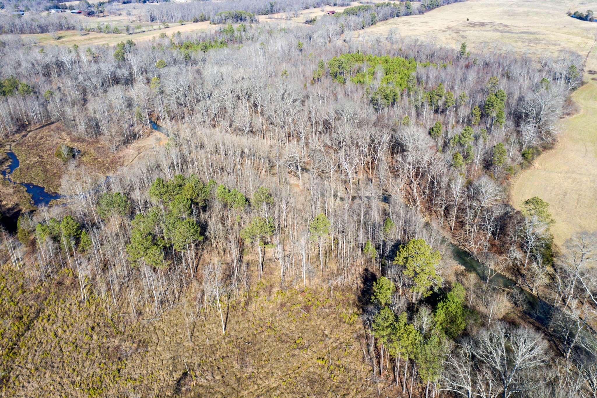 3919 SE Trewhitt Road Cleveland TN 37323