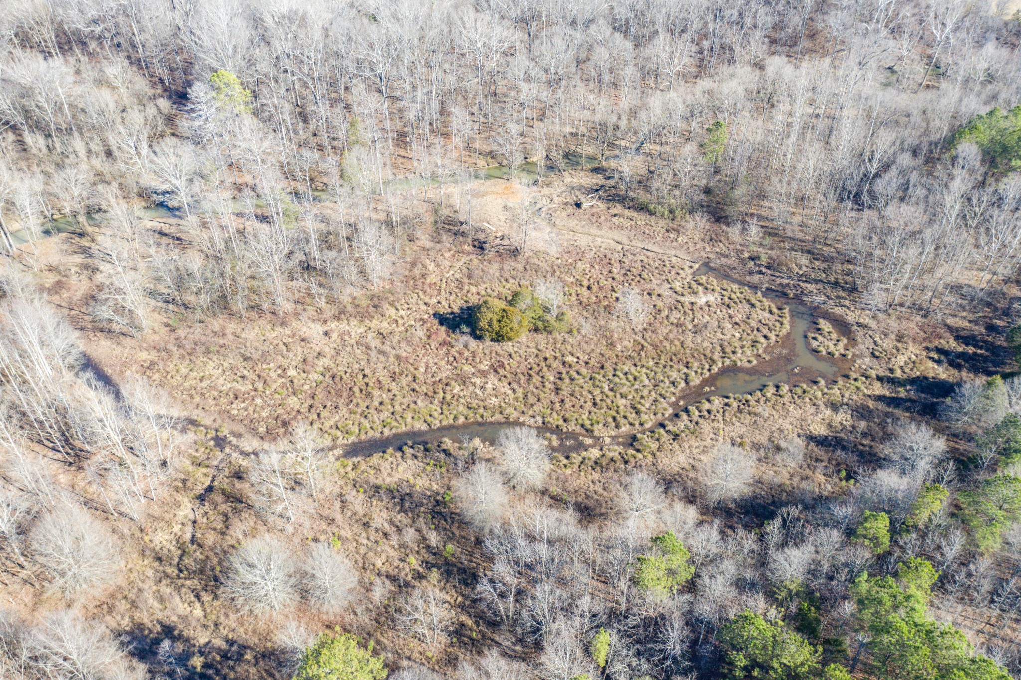 3919 SE Trewhitt Road Cleveland TN 37323