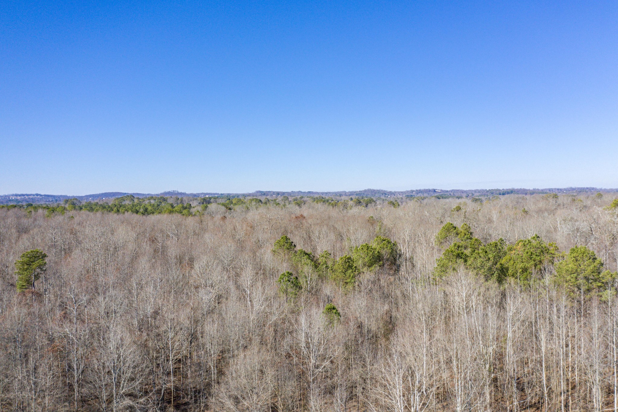 3919 SE Trewhitt Road Cleveland TN 37323