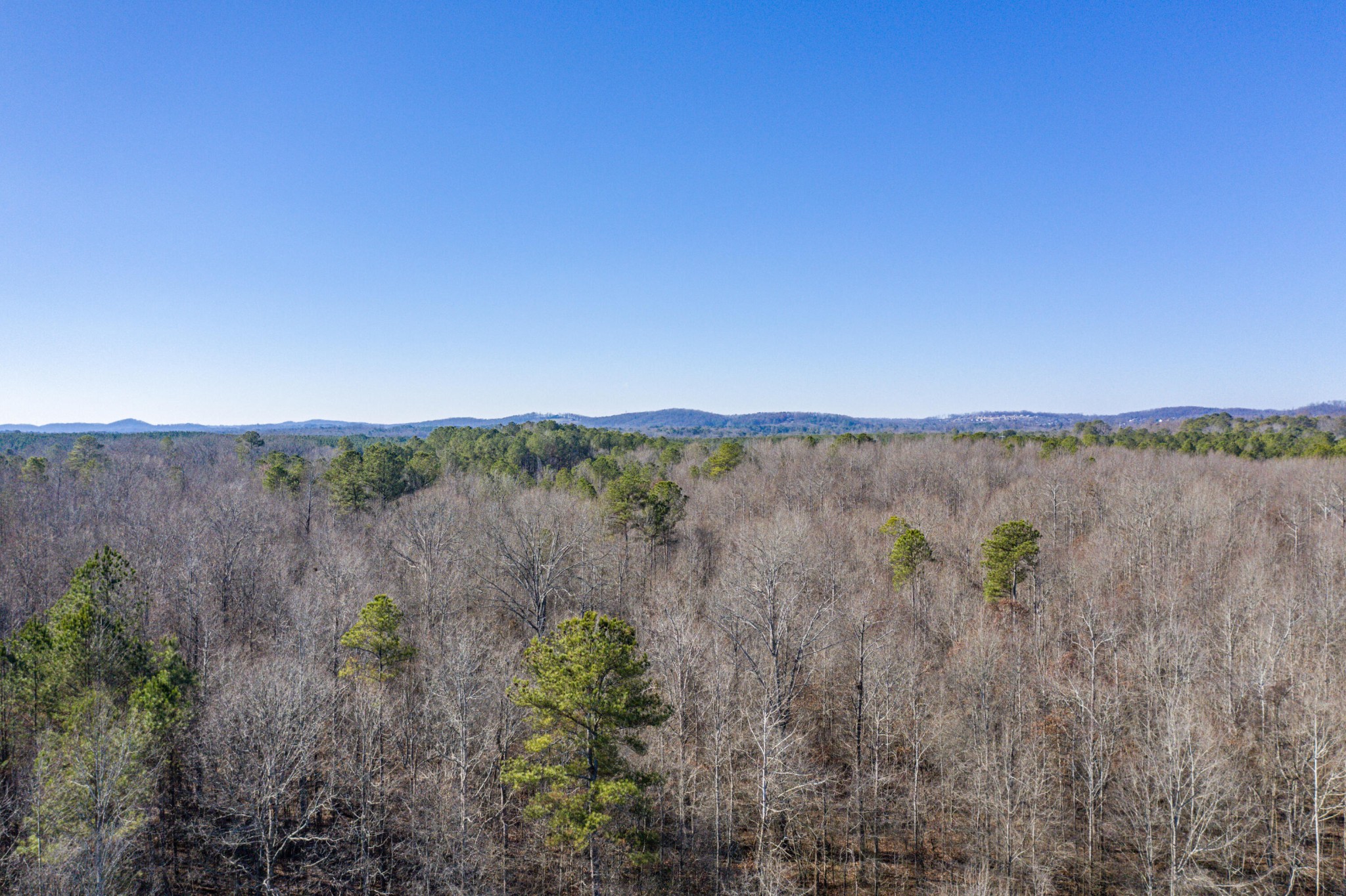 3919 SE Trewhitt Road Cleveland TN 37323