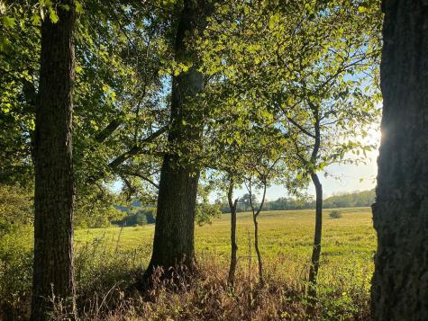 0 Narrows Of The Harpeth Road Kingston Springs TN 37082