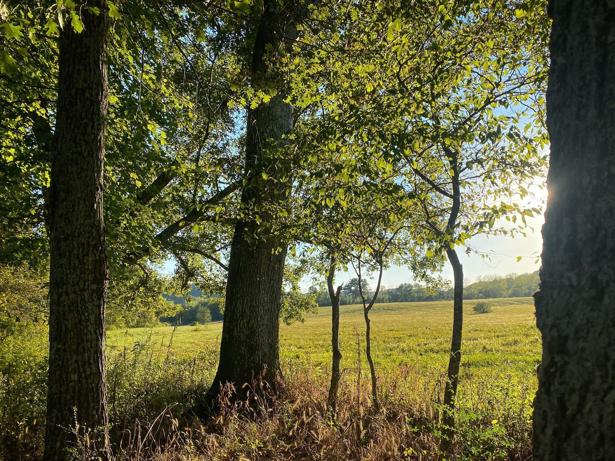 0 Narrows Of The Harpeth Road Kingston Springs TN 37082