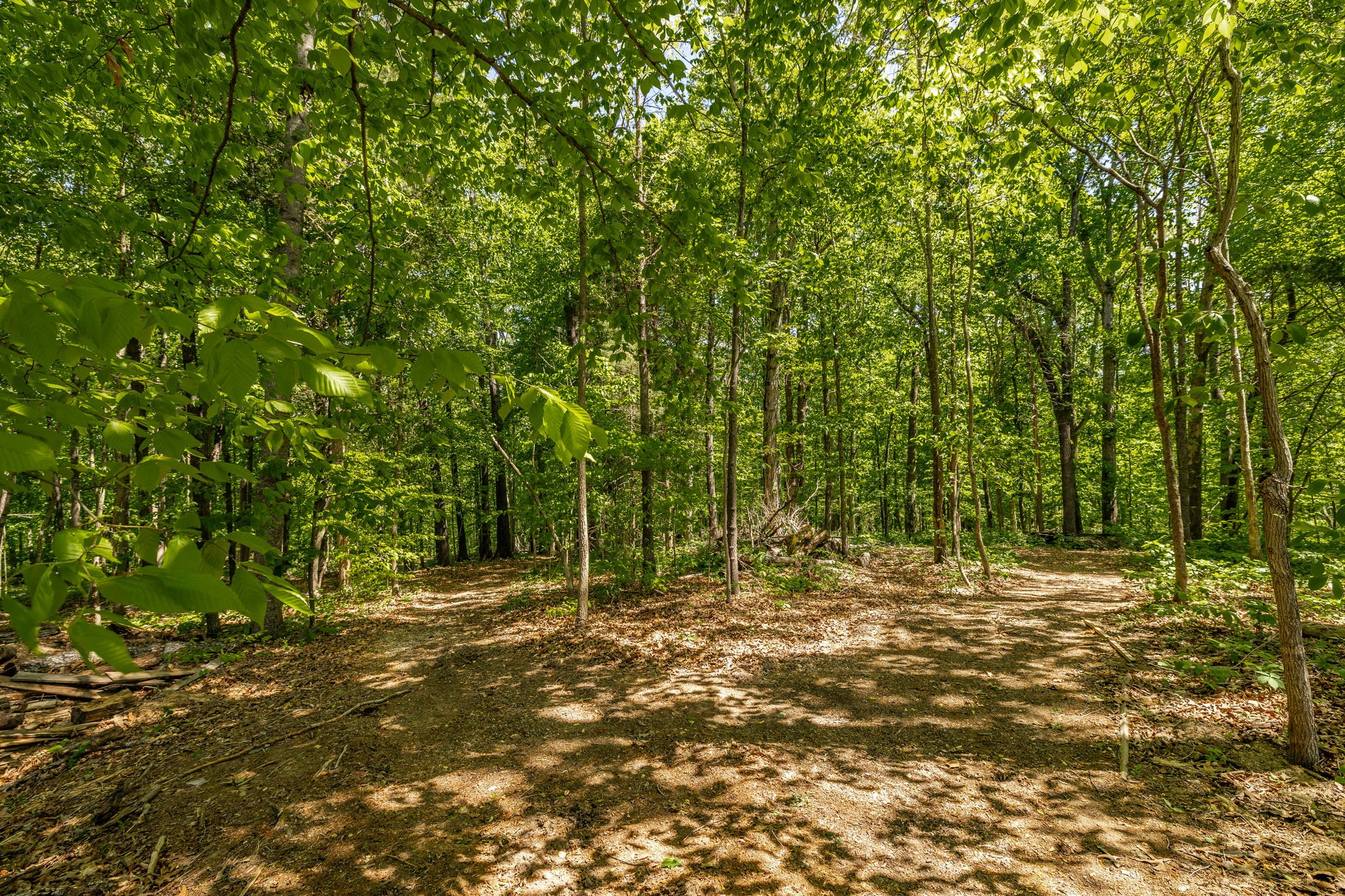 237 Lear Road Portland TN 37148