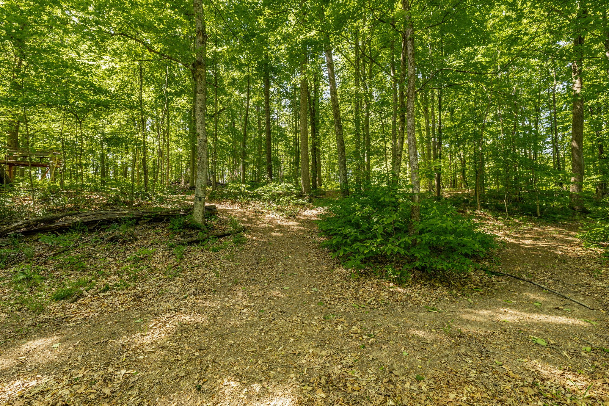 237 Lear Road Portland TN 37148