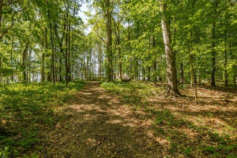 237 Lear Road Portland TN 37148