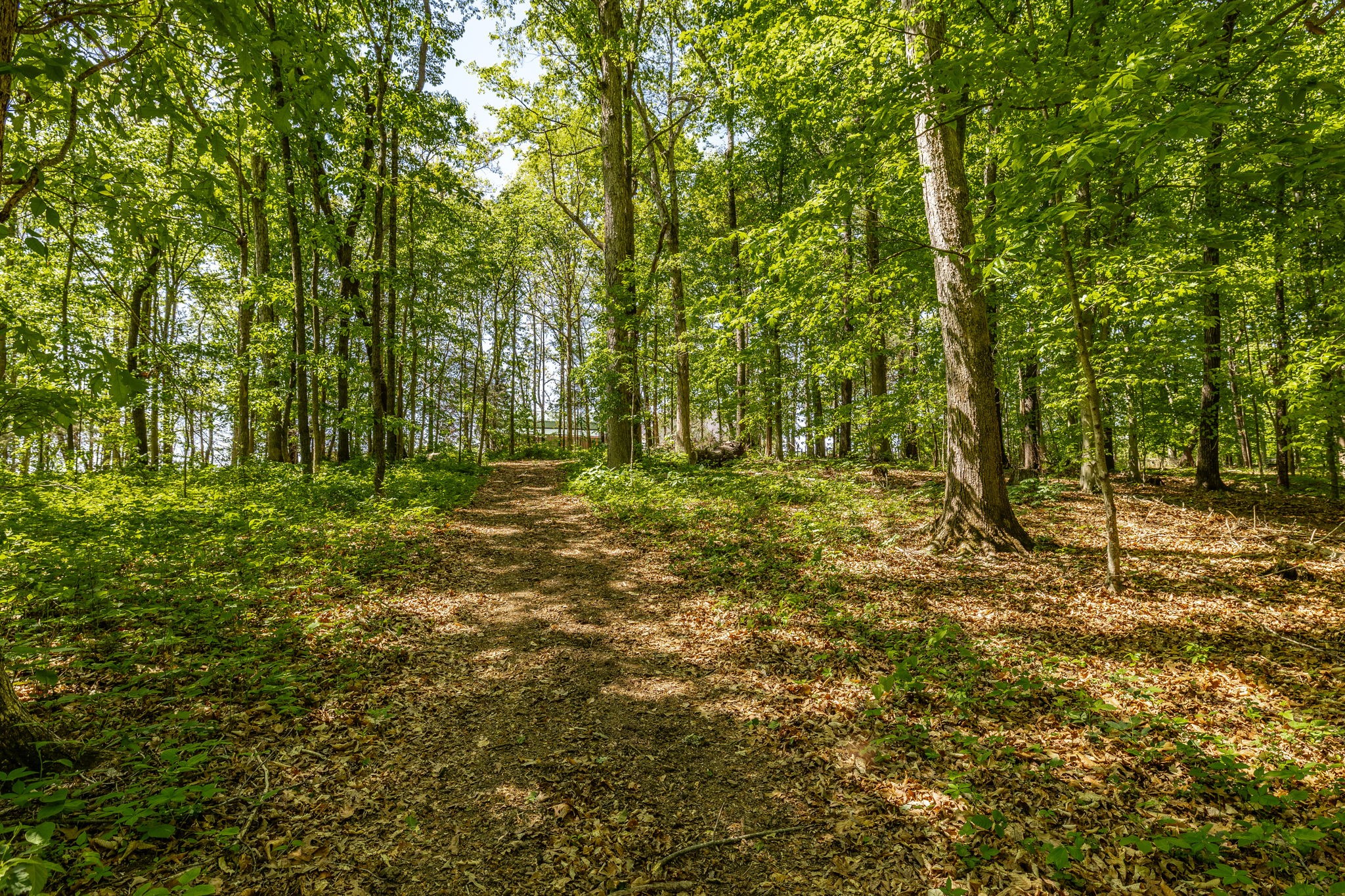 237 Lear Road Portland TN 37148