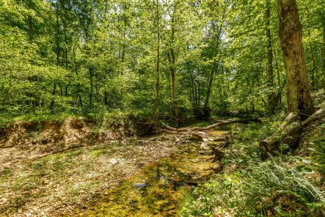 237 Lear Road Portland TN 37148
