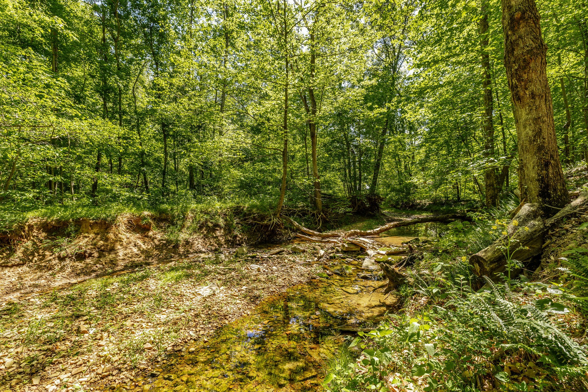 237 Lear Road Portland TN 37148