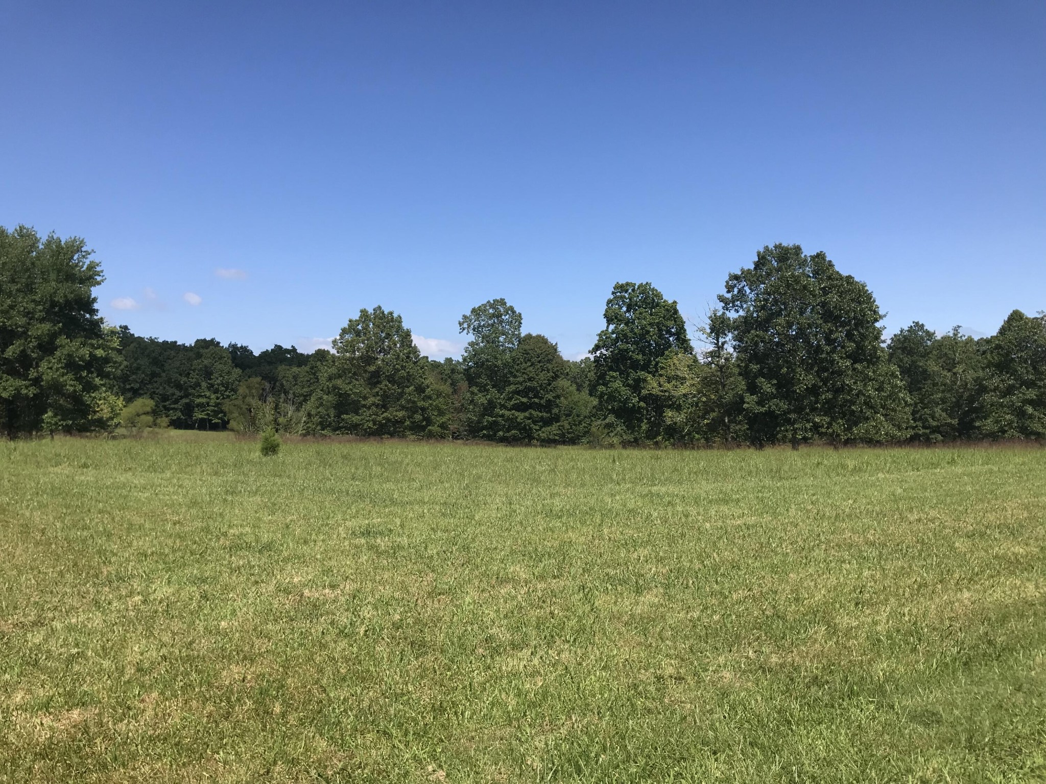 1 Lake George Drive Dunlap TN 37327