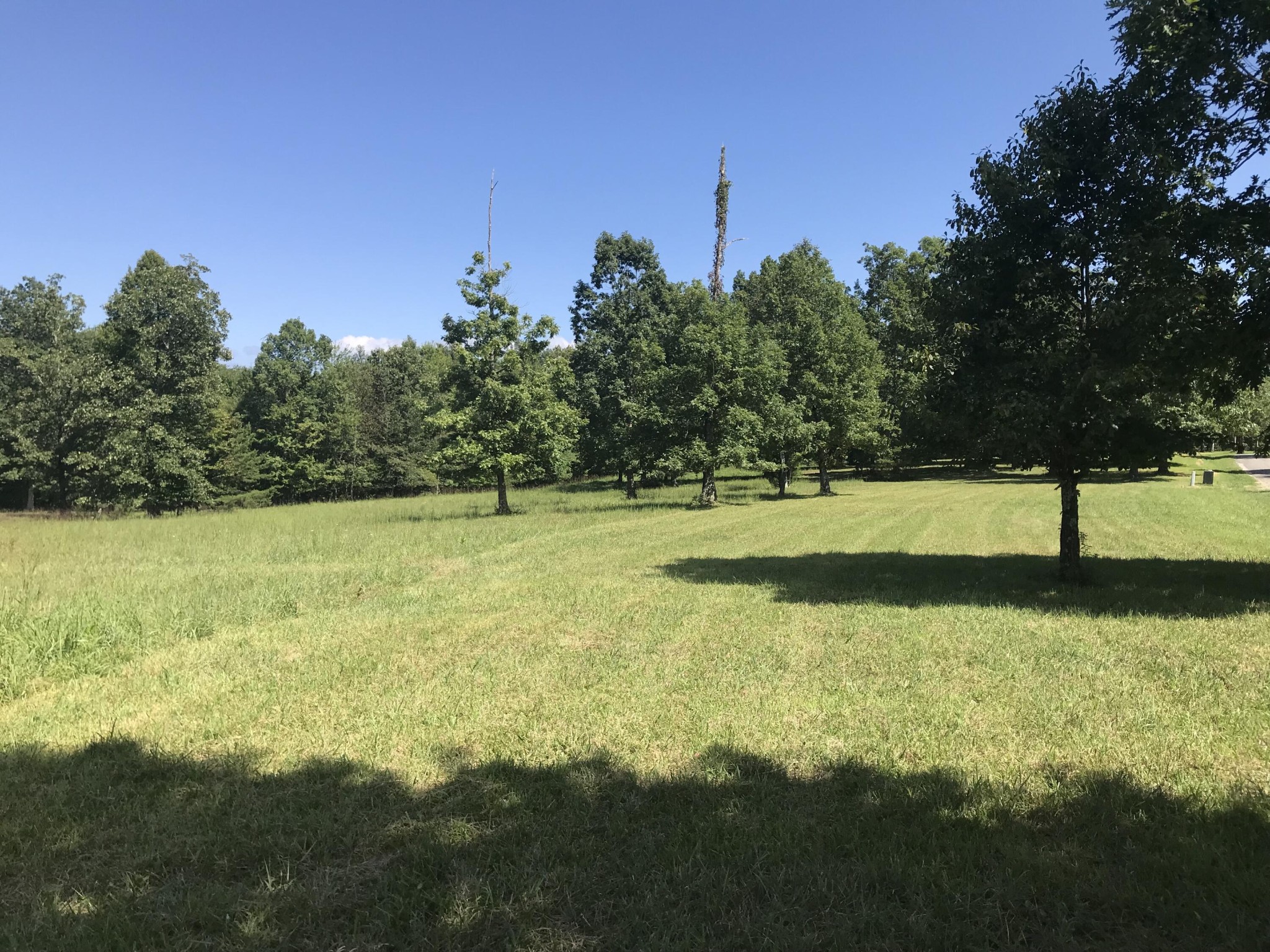 1 Lake George Drive Dunlap TN 37327