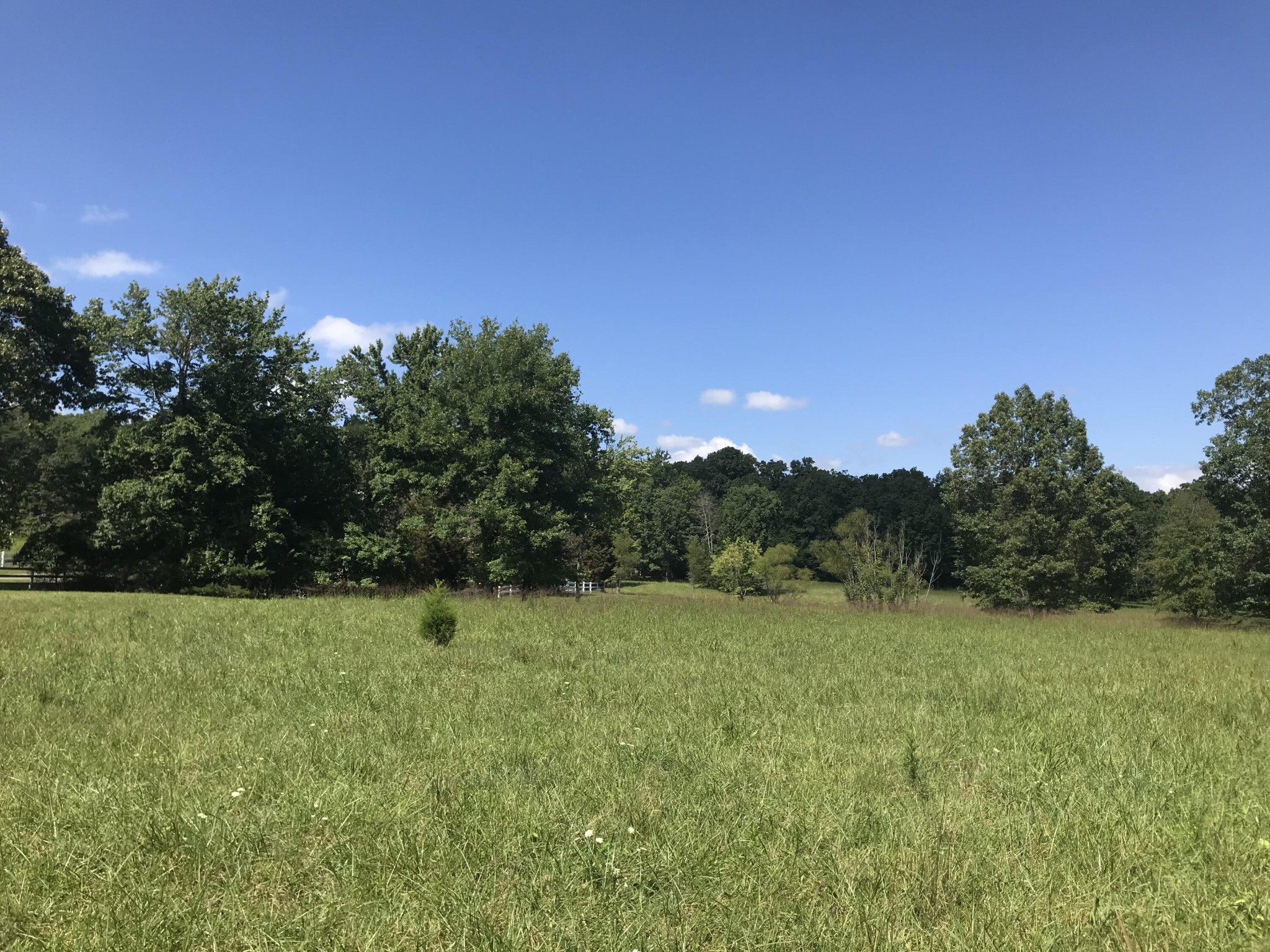 1 Lake George Drive Dunlap TN 37327