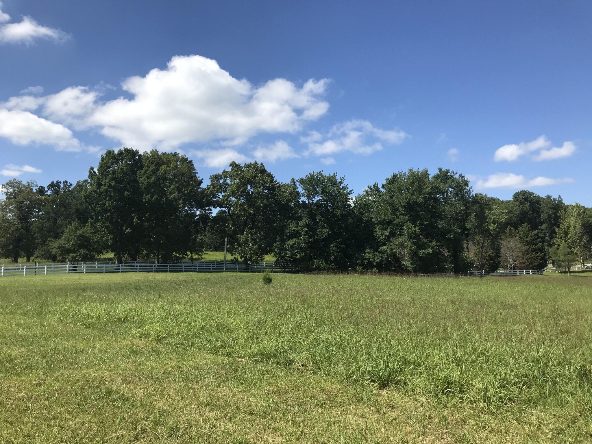 1 Lake George Drive Dunlap TN 37327