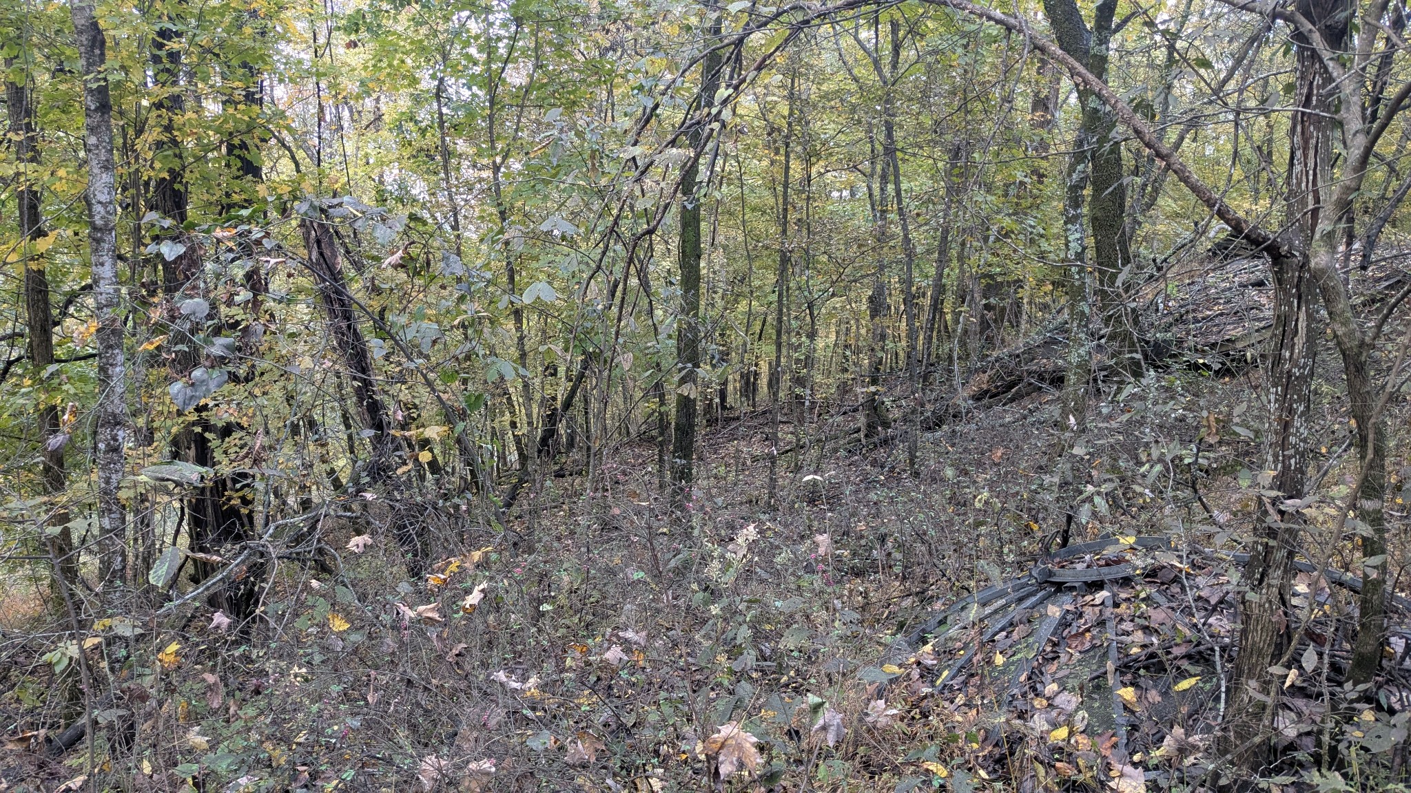 0 Greenvale Road Watertown TN 37184