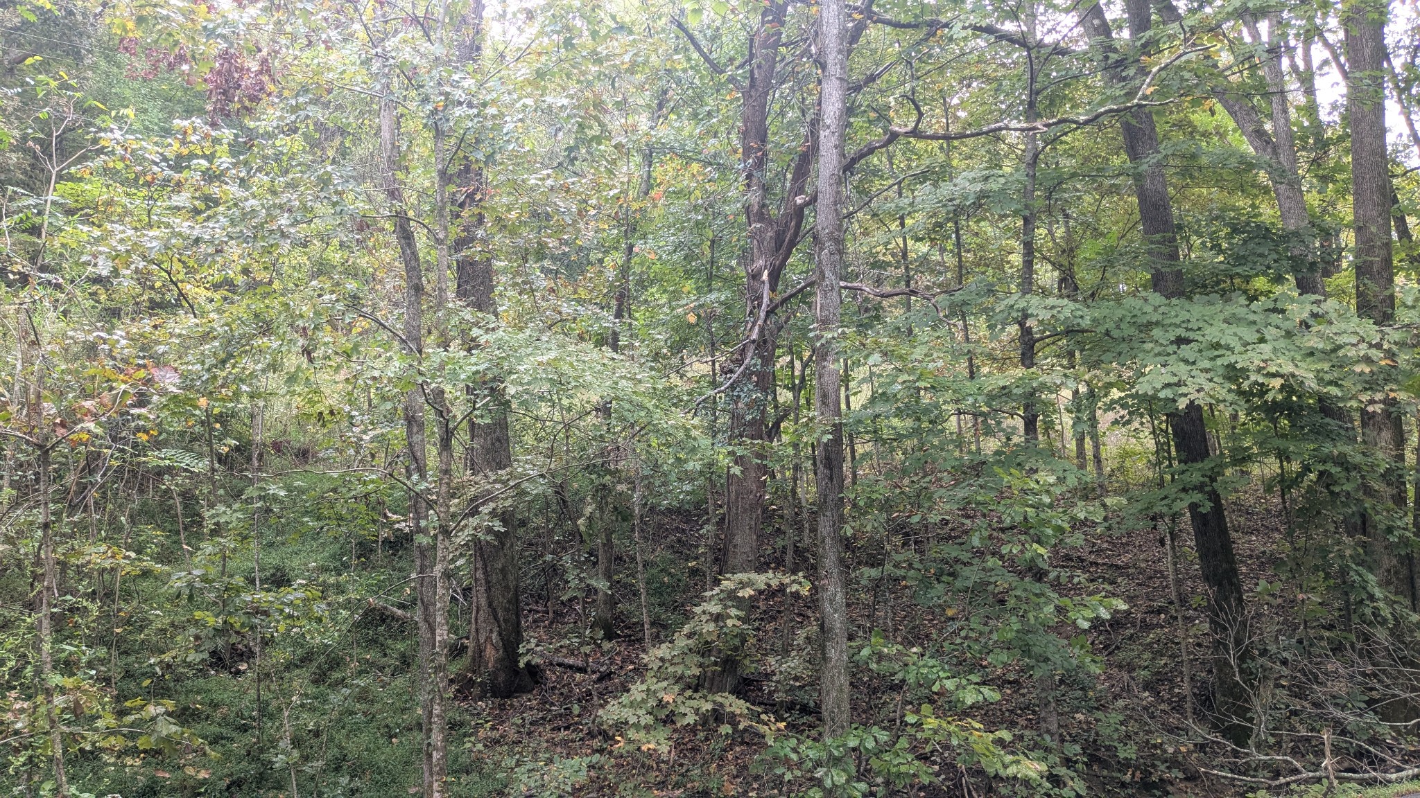 0 Greenvale Road Watertown TN 37184
