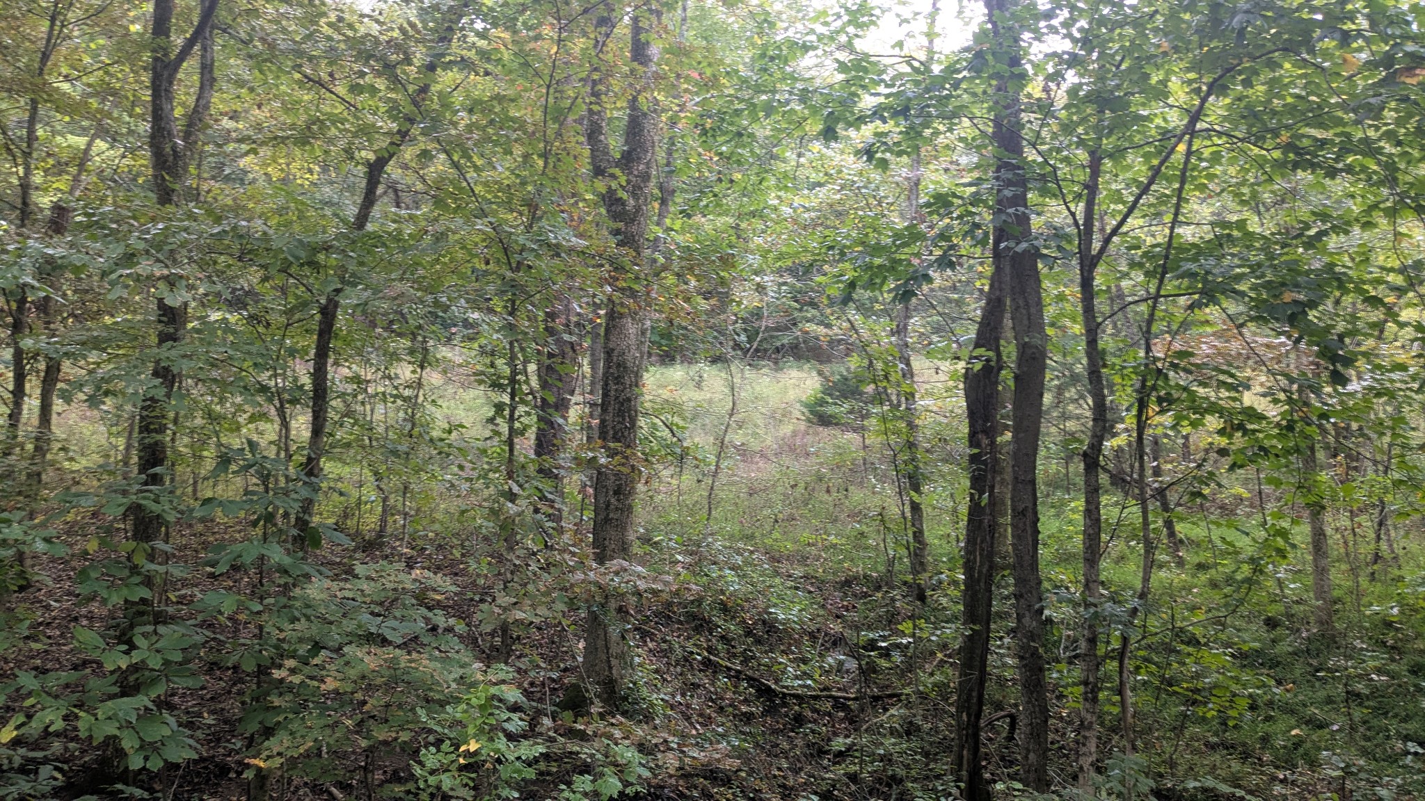 0 Greenvale Road Watertown TN 37184