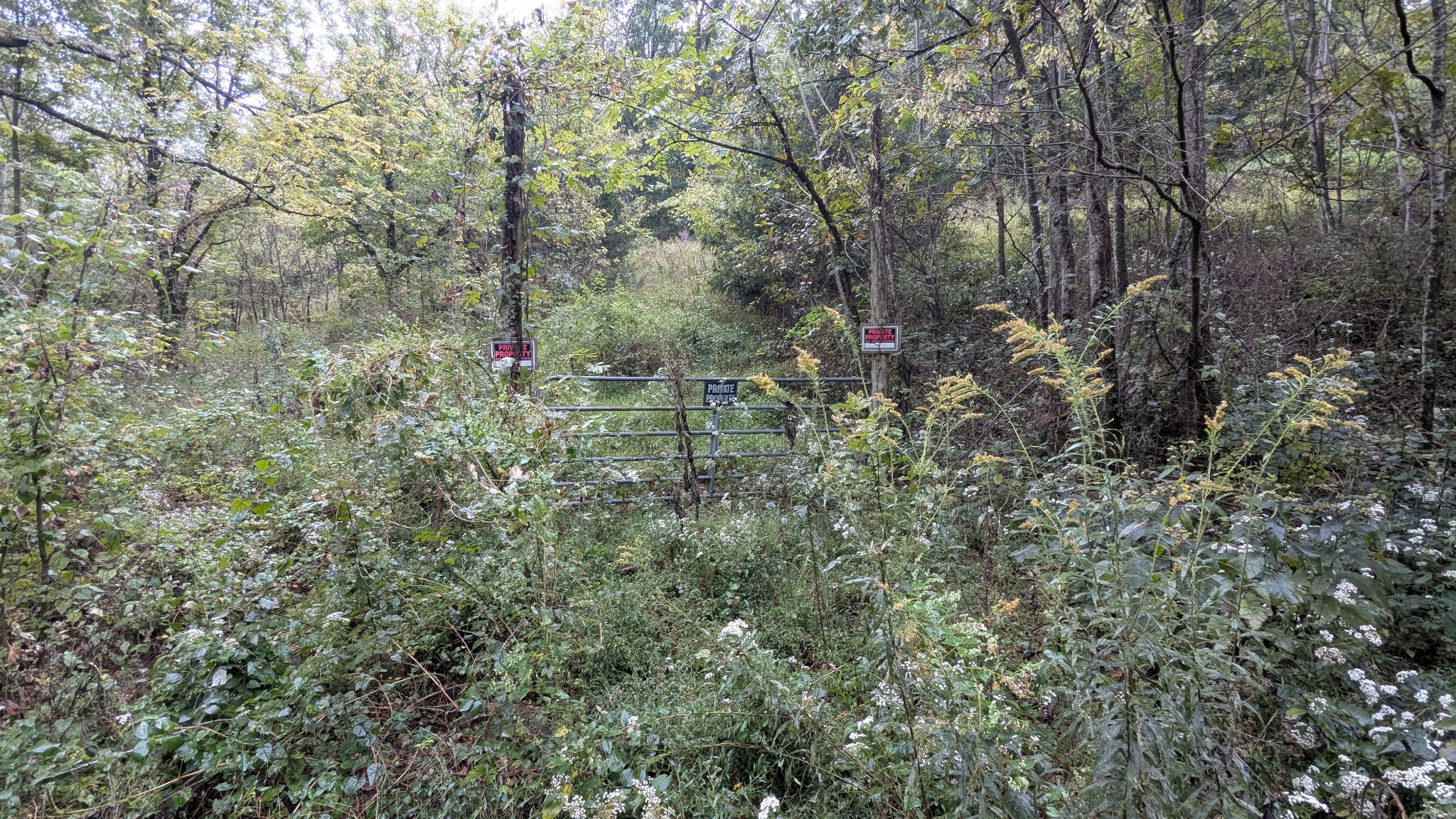 0 Greenvale Road Watertown TN 37184