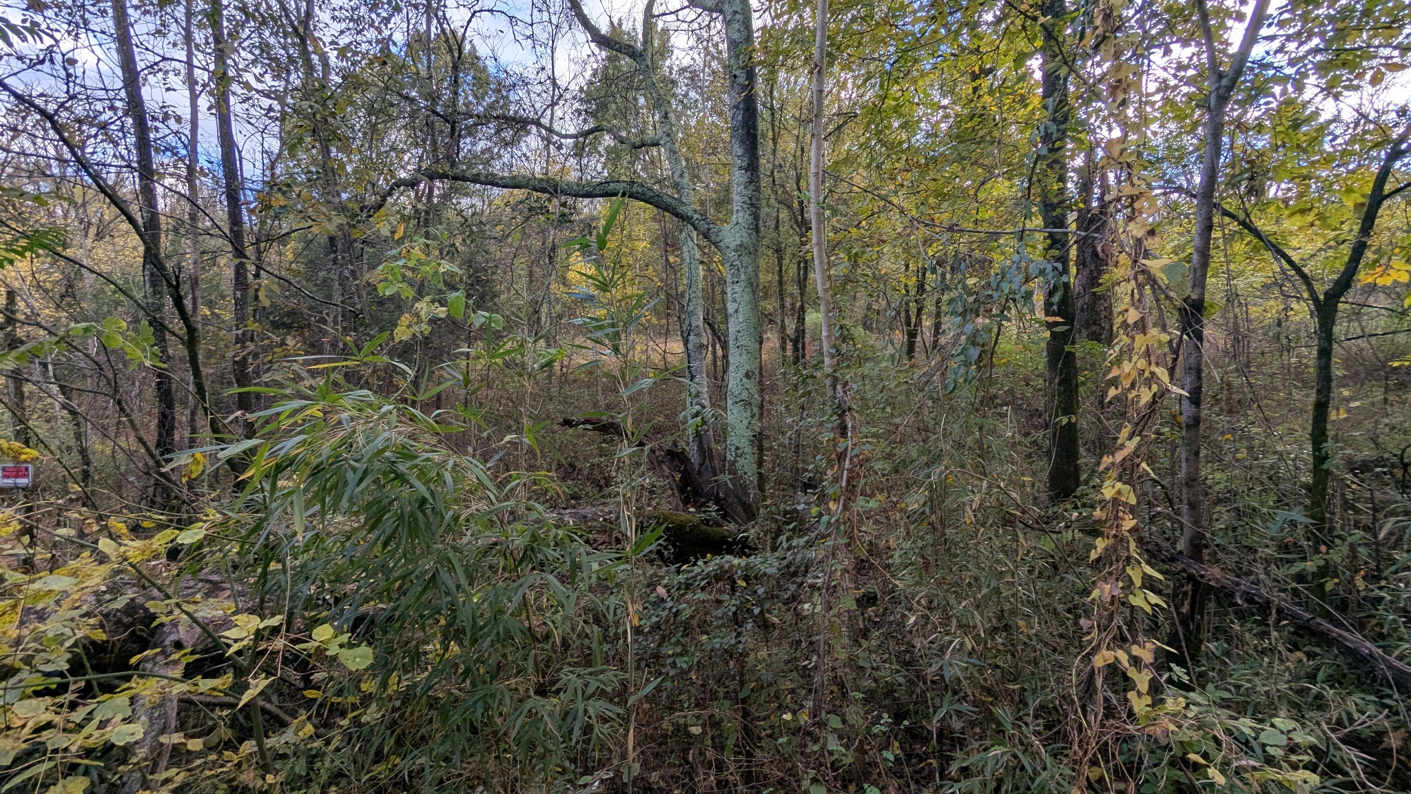 0 Greenvale Road Watertown TN 37184