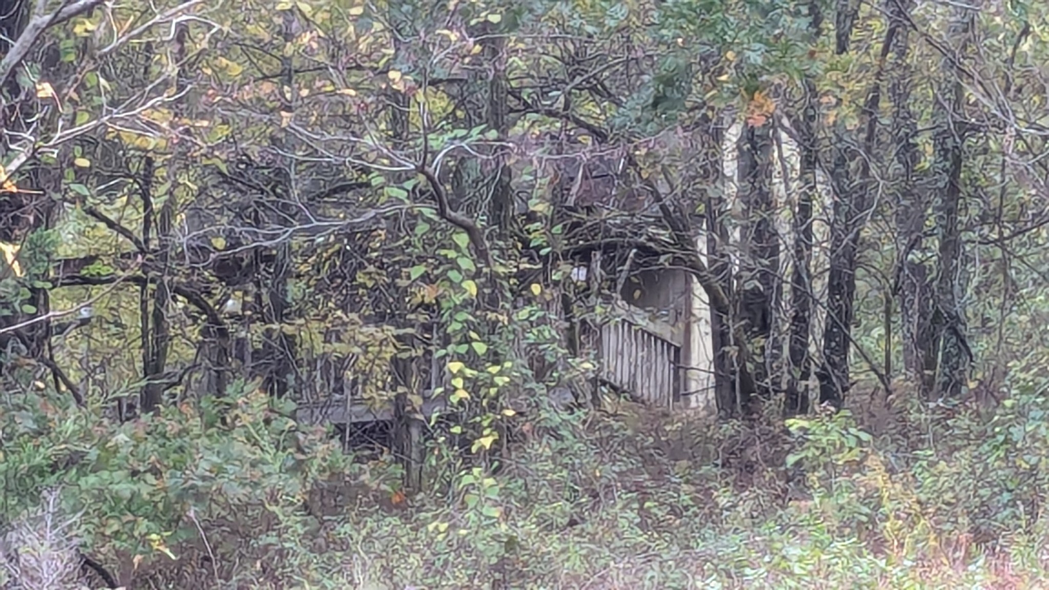 0 Greenvale Road Watertown TN 37184