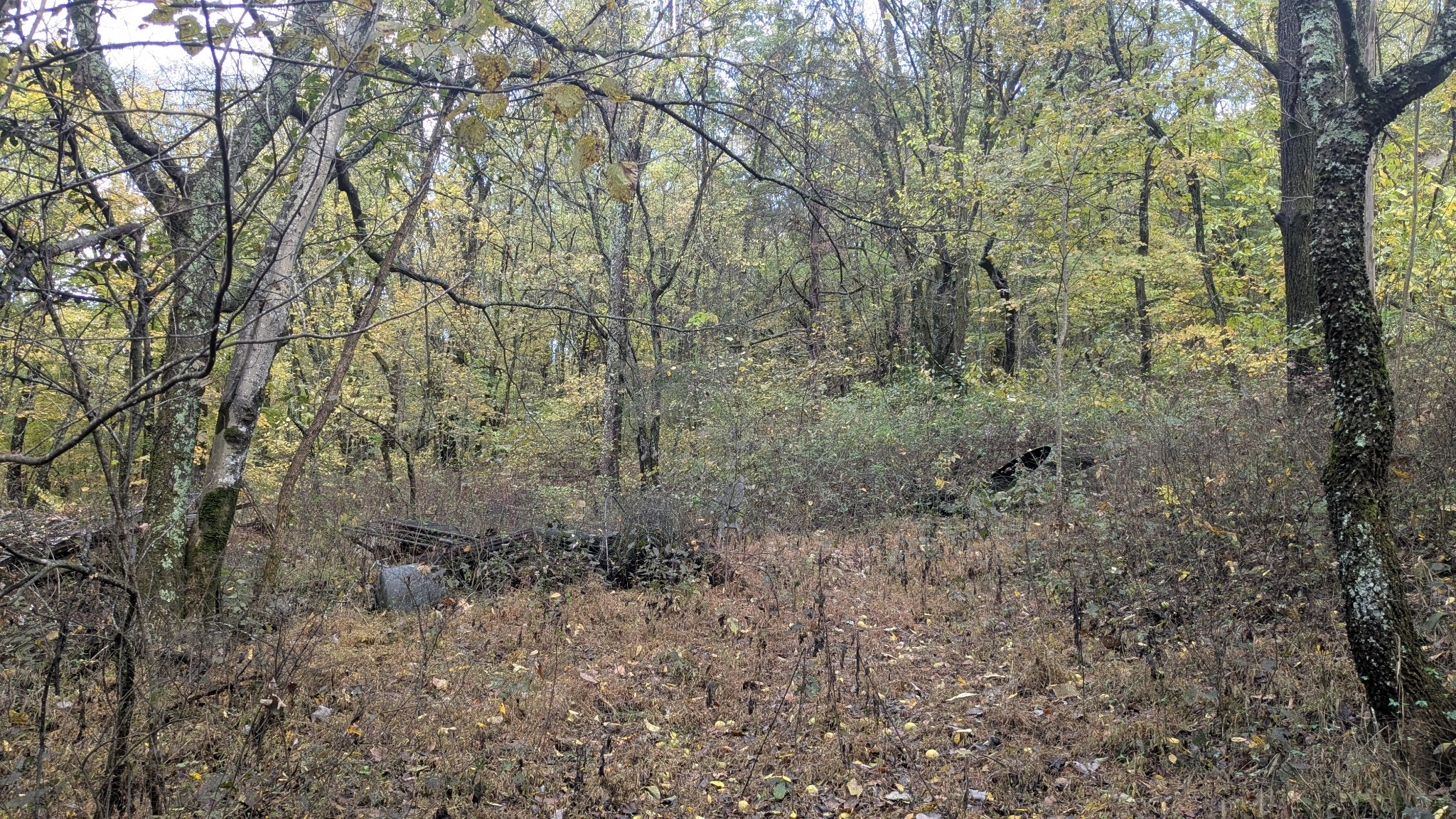 0 Greenvale Road Watertown TN 37184
