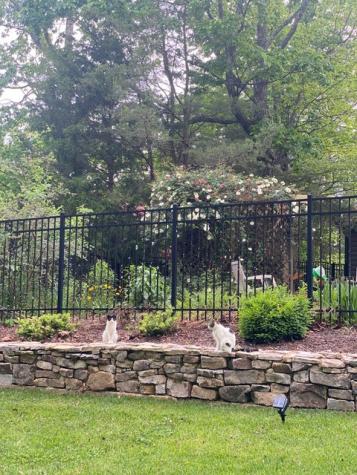 1841 Laurel Lake Drive Monteagle TN 37356