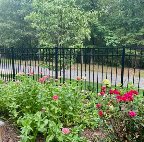 1841 Laurel Lake Drive Monteagle TN 37356