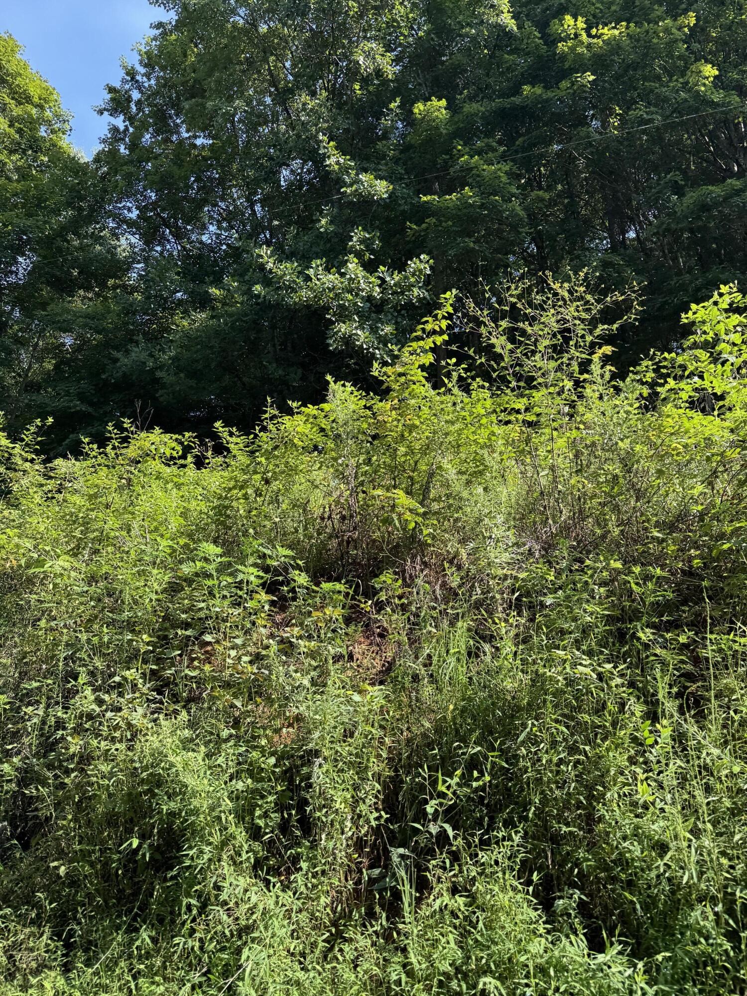 115 Hughes Hollow Road Ten Mile TN 37880
