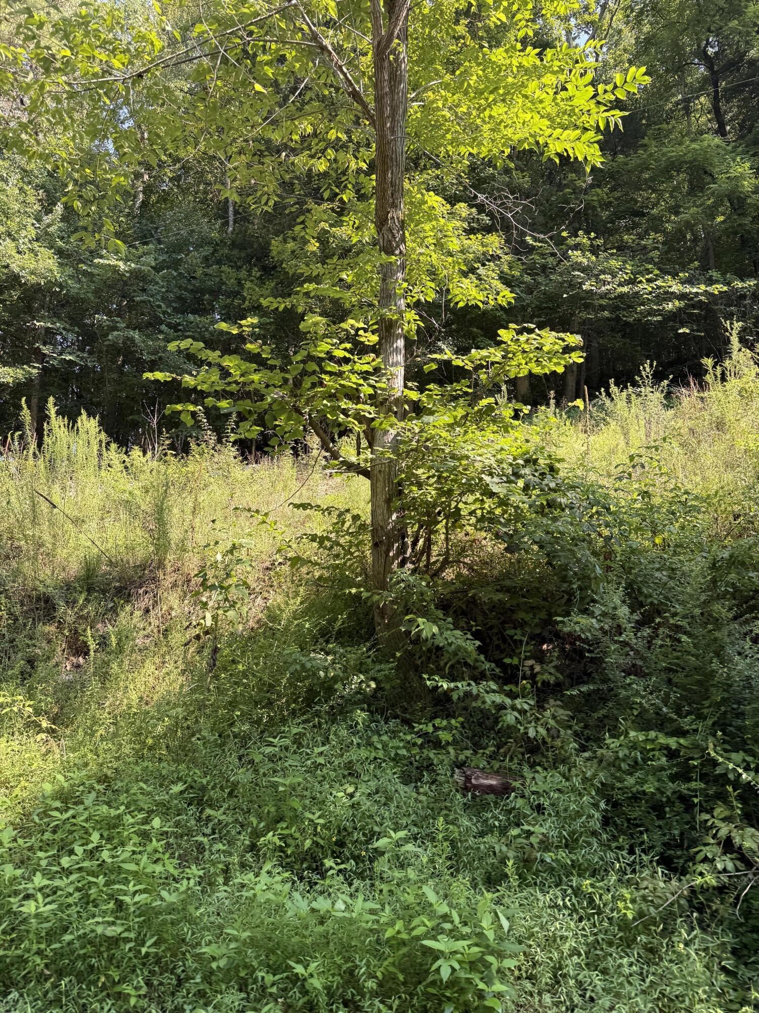 115 Hughes Hollow Road Ten Mile TN 37880