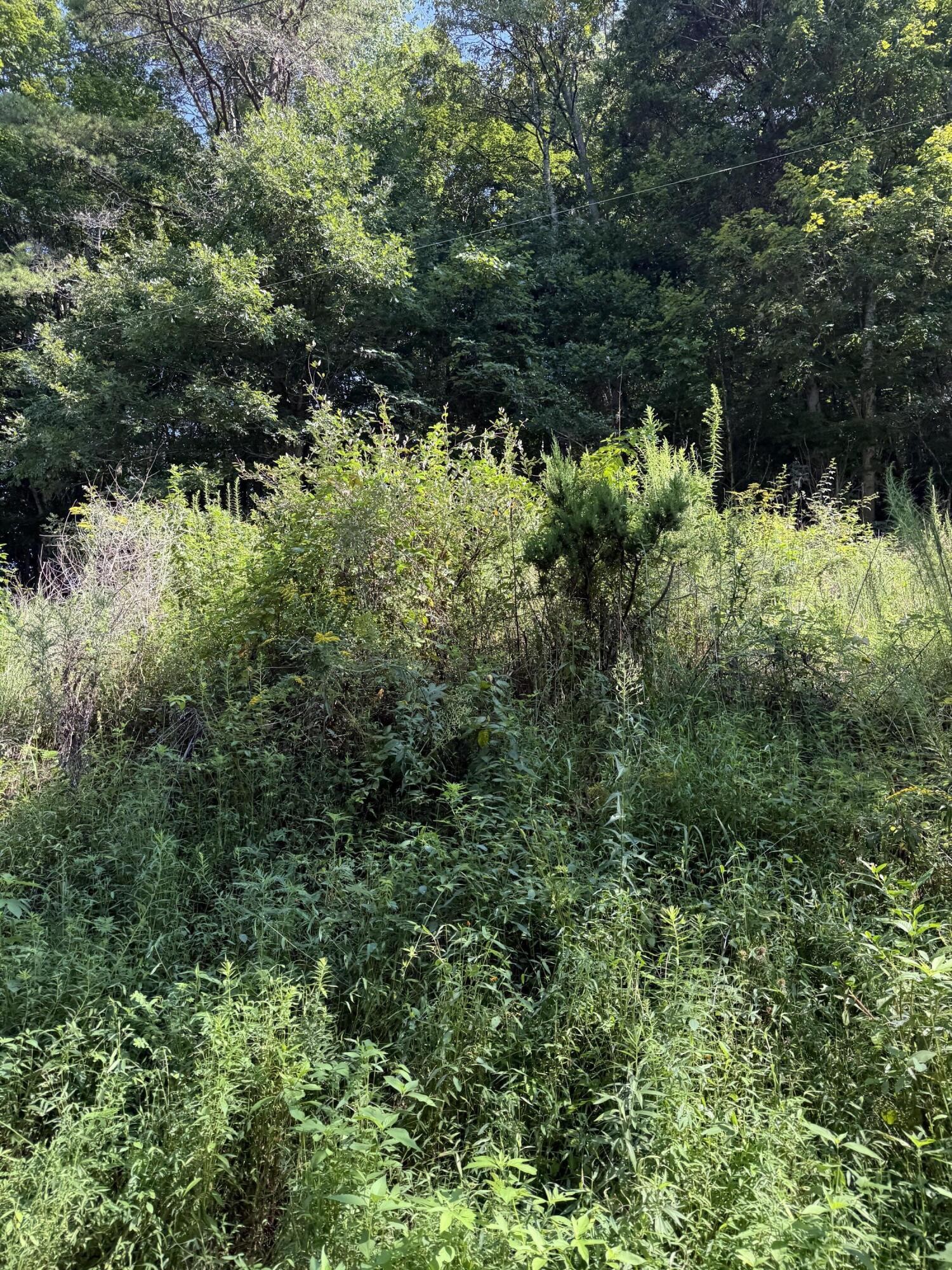 115 Hughes Hollow Road Ten Mile TN 37880