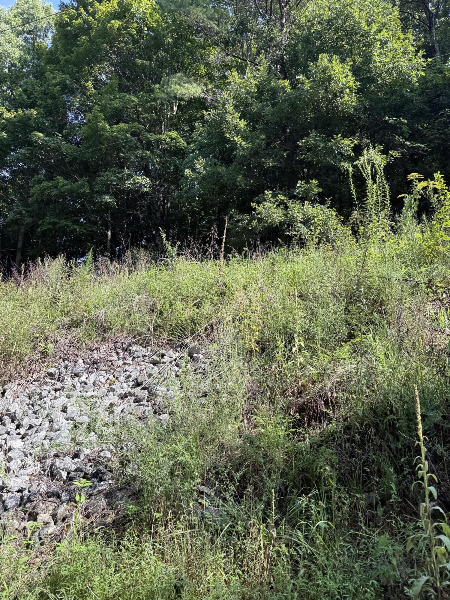115 Hughes Hollow Road Ten Mile TN 37880