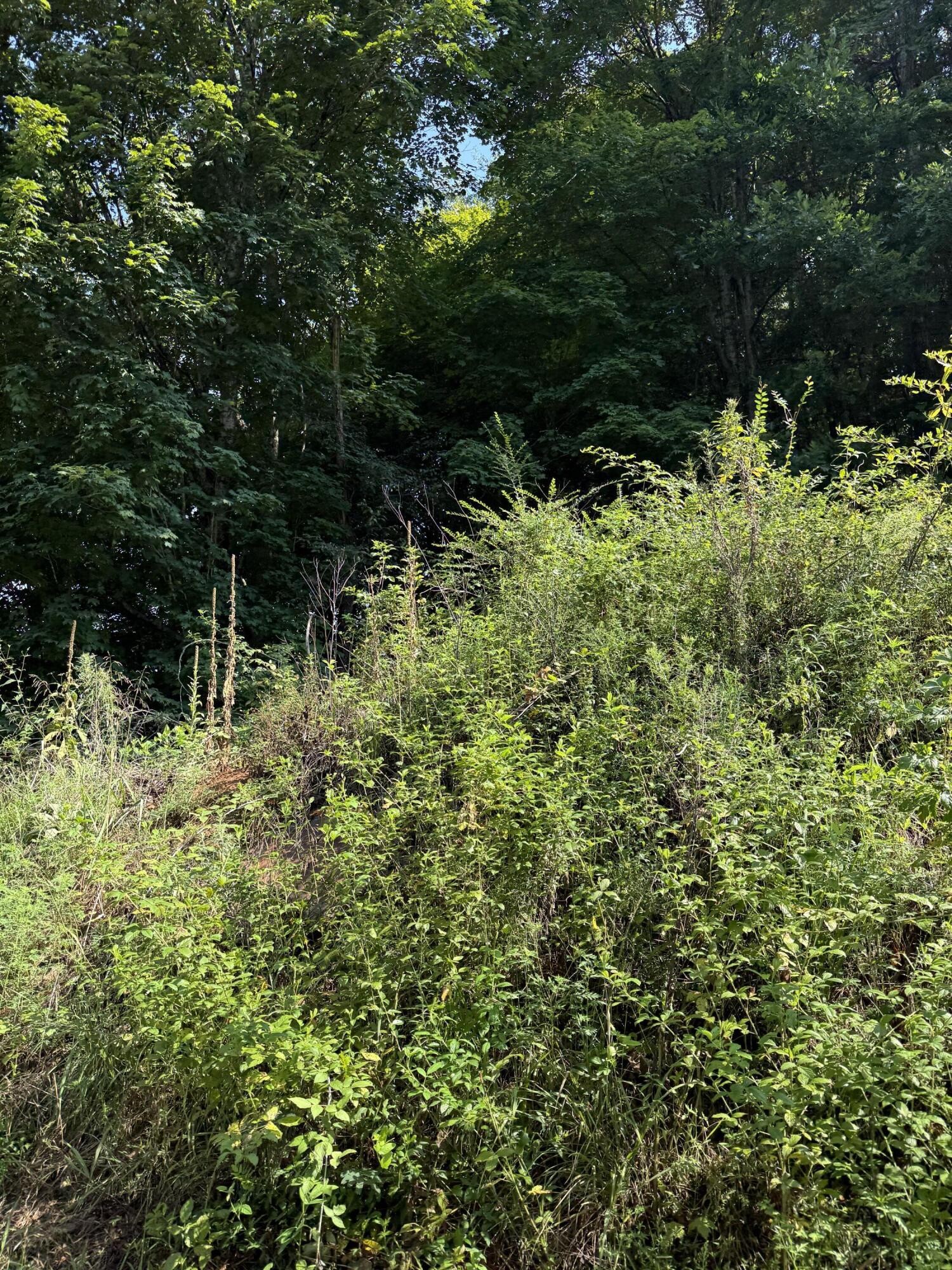 115 Hughes Hollow Road Ten Mile TN 37880