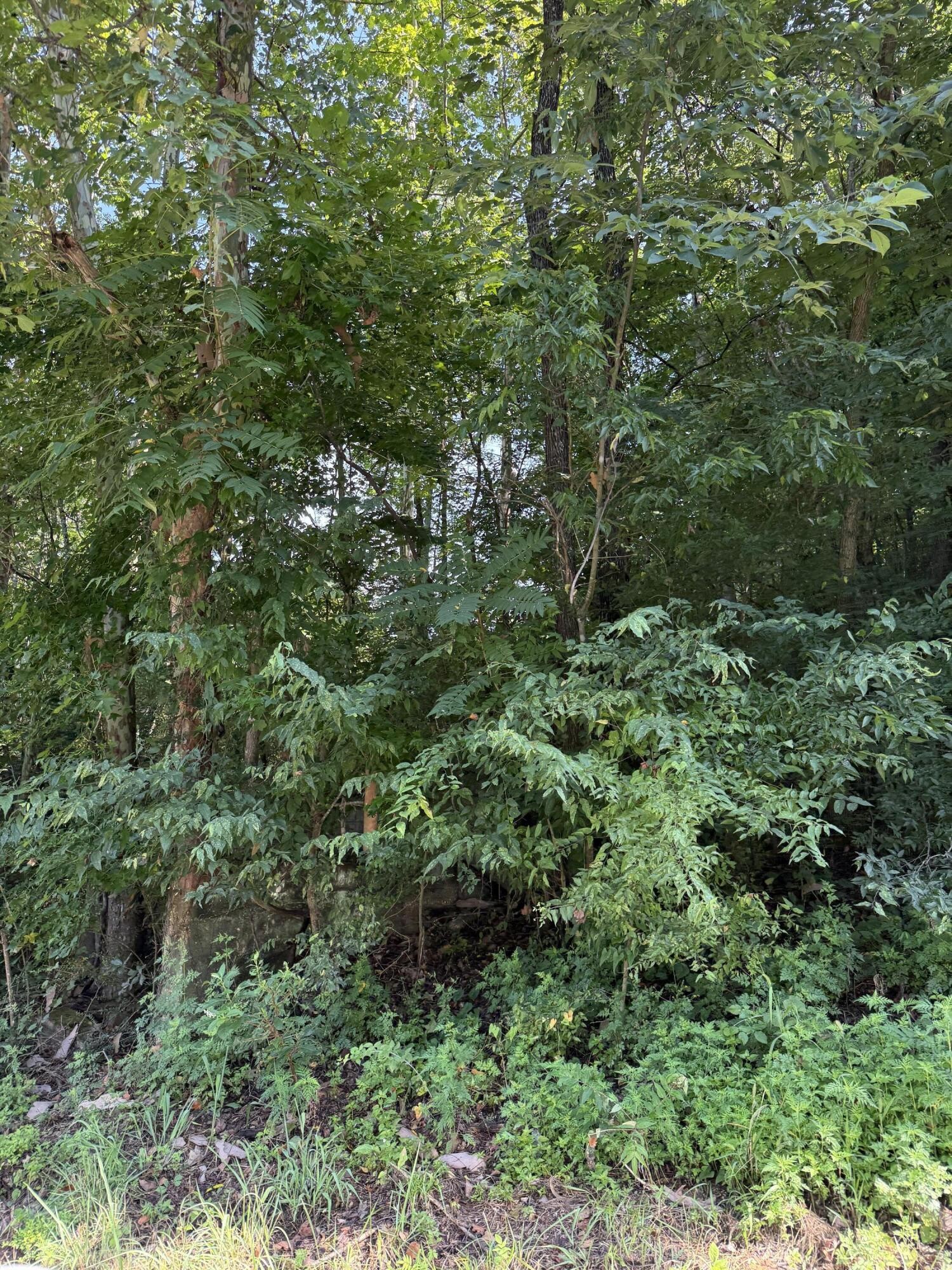 115 Hughes Hollow Road Ten Mile TN 37880