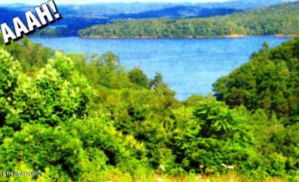 406 Flint Ridge Road Rockwood TN 37854
