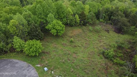 406 Flint Ridge Road Rockwood TN 37854