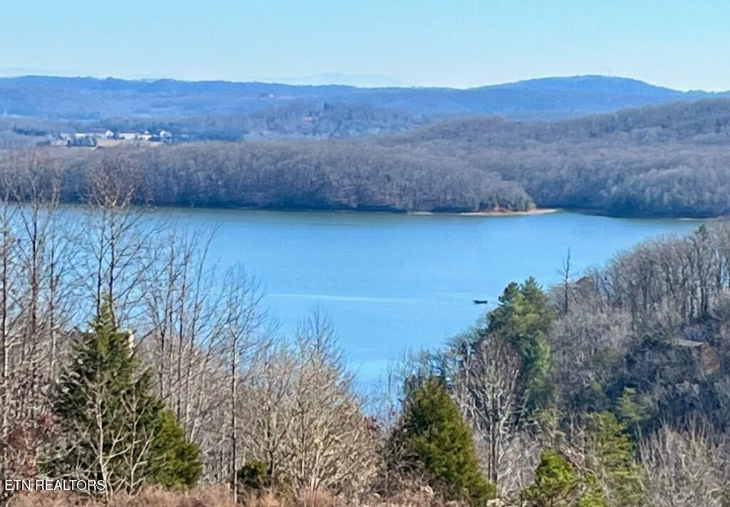 406 Flint Ridge Road Rockwood TN 37854