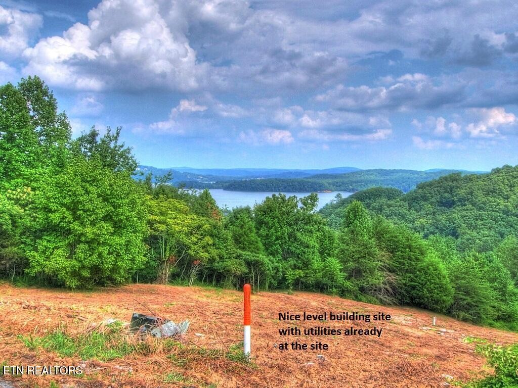 406 Flint Ridge Road Rockwood TN 37854