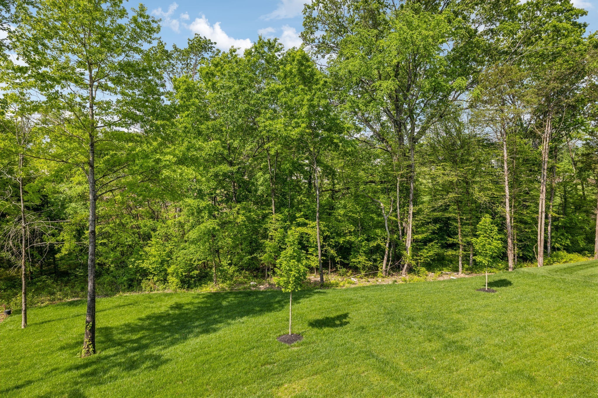 8876 Edgecomb Drive College Grove TN 37046