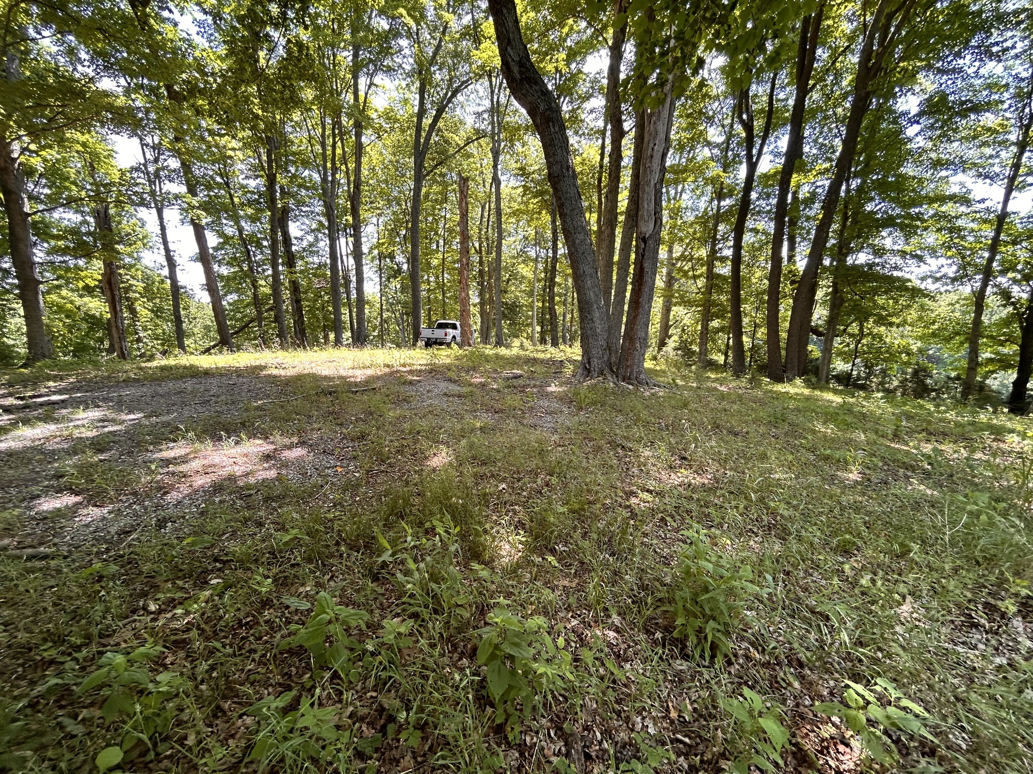 5175 Dale Ridge Road Liberty TN 37095