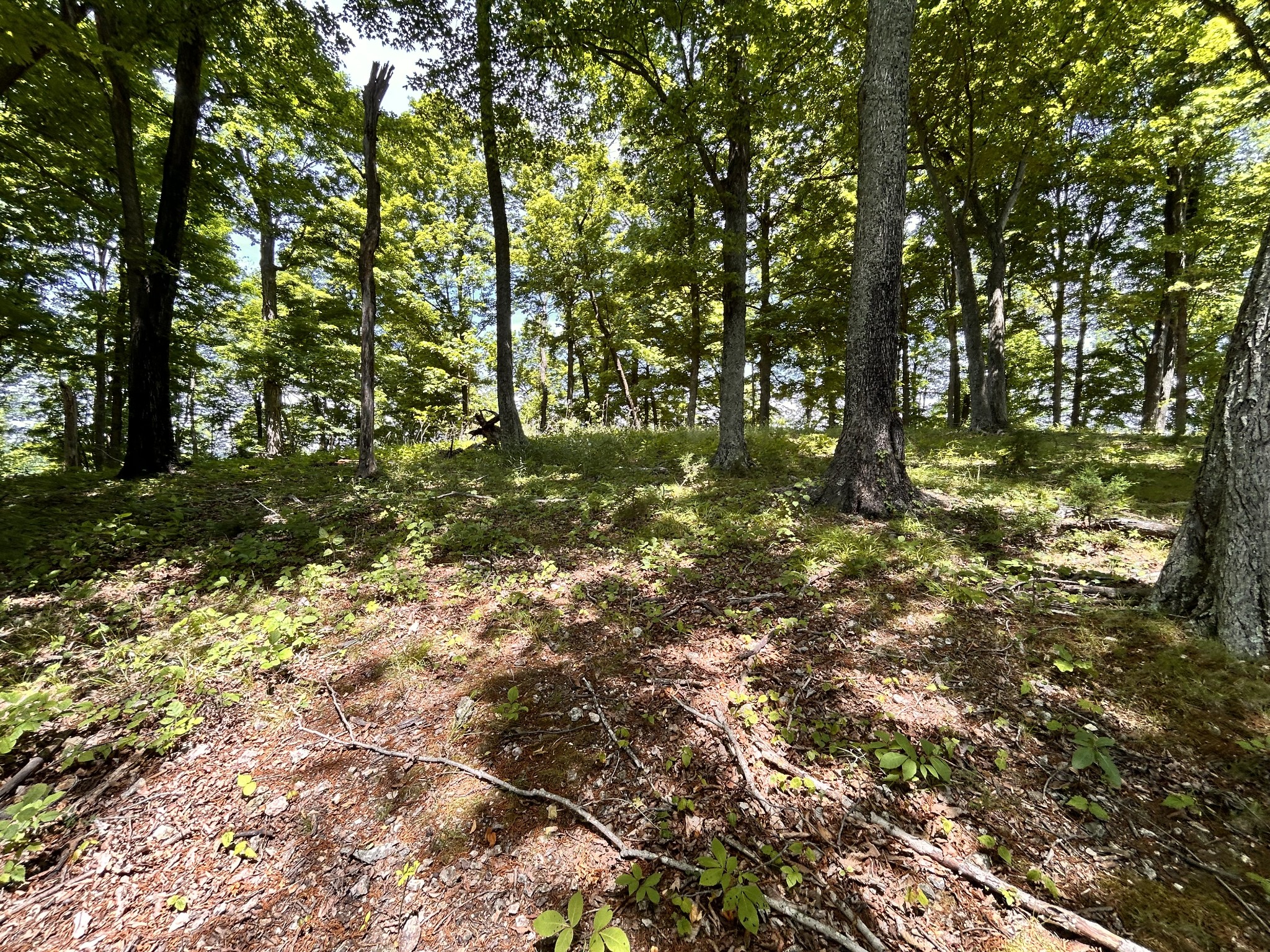 5175 Dale Ridge Road Liberty TN 37095