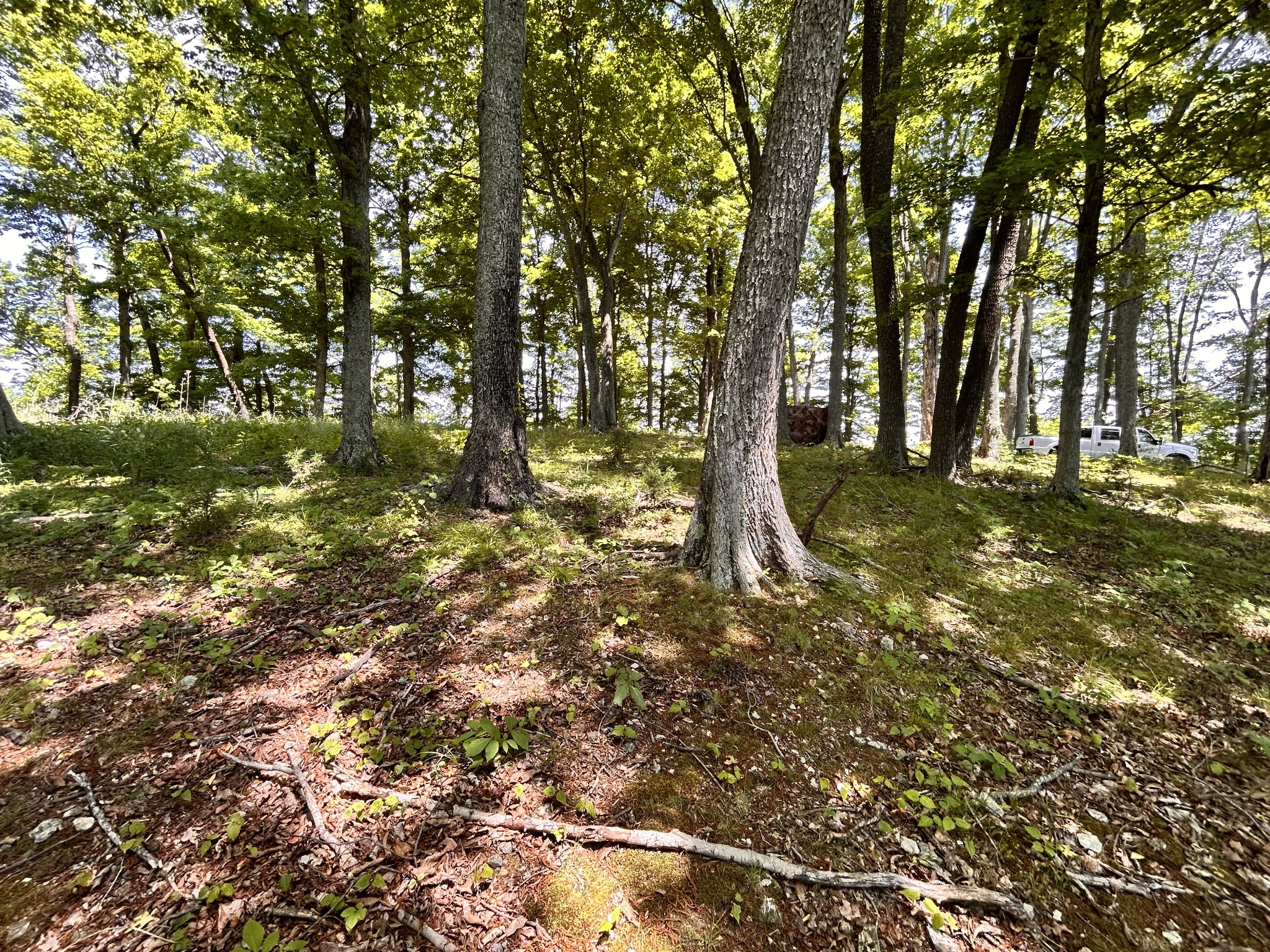 5175 Dale Ridge Road Liberty TN 37095