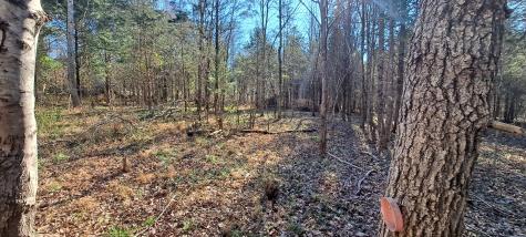 0 NW Piney Road Dickson TN 37055