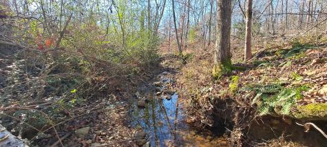 0 NW Piney Road Dickson TN 37055