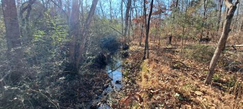 0 NW Piney Road Dickson TN 37055