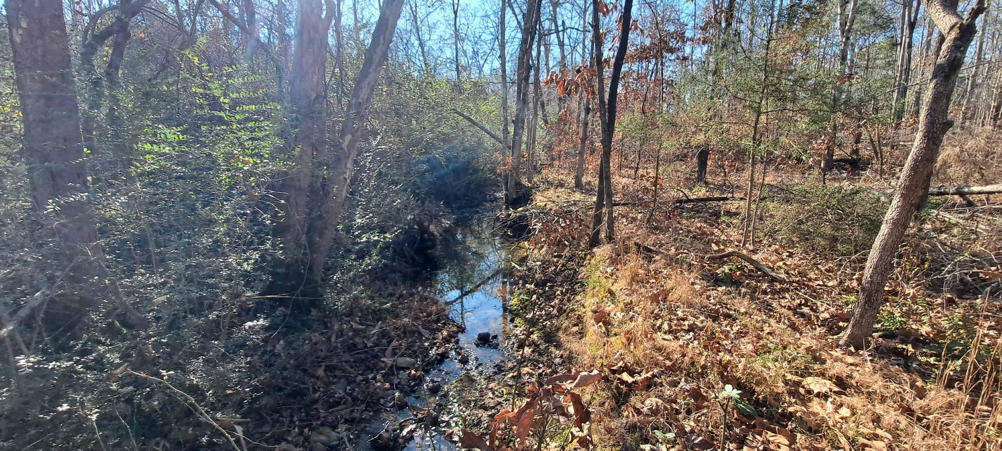 0 NW Piney Road Dickson TN 37055